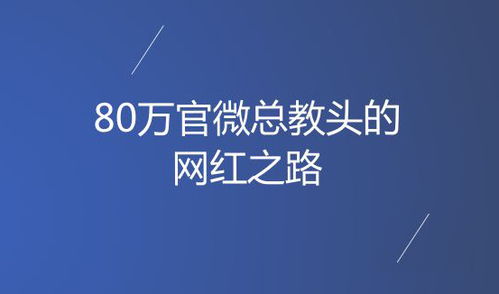 百度蜘蛛池价格:蜘蛛池屁股，揭秘网络营销背后的秘密