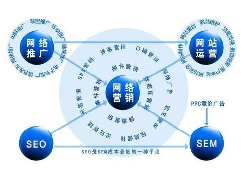 百度蜘蛛池租用:个人做蜘蛛池，揭秘网络营销的奥秘之路