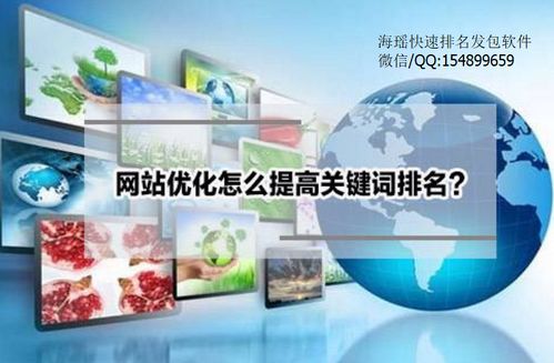 百度蜘蛛池出租:搭建蜘蛛池的简易性分析，轻松上手，助力SEO优化