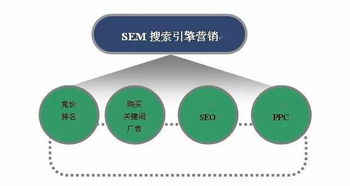 百度蜘蛛池引流:SEM代运营公司蜘蛛池，助力企业实现高效网络营销