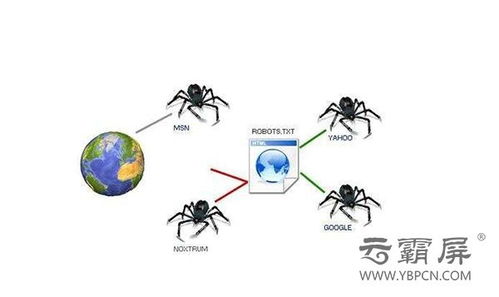 百度蜘蛛池优化:蜘蛛的家园，揭秘蜘蛛自己的蜘蛛池