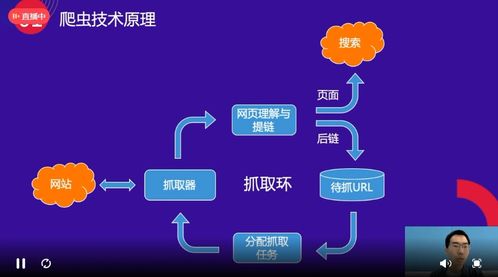 百度蜘蛛池收录:蜘蛛池谷歌，揭秘搜索引擎优化中的神秘力量