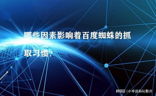 百度蜘蛛池价格:2023年蜘蛛池技术革新，深度解析其发展趋势与应用前景