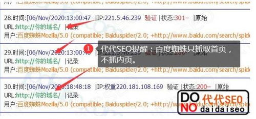 百度蜘蛛池引流:蜘蛛池单域名优化策略，探讨单域名蜘蛛数量的合理配置