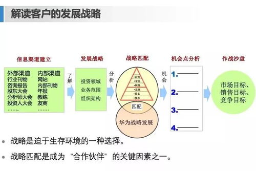 百度蜘蛛池引流:揭秘网络营销中的排名奥秘，蜘蛛池在现代SEO中的关键作用